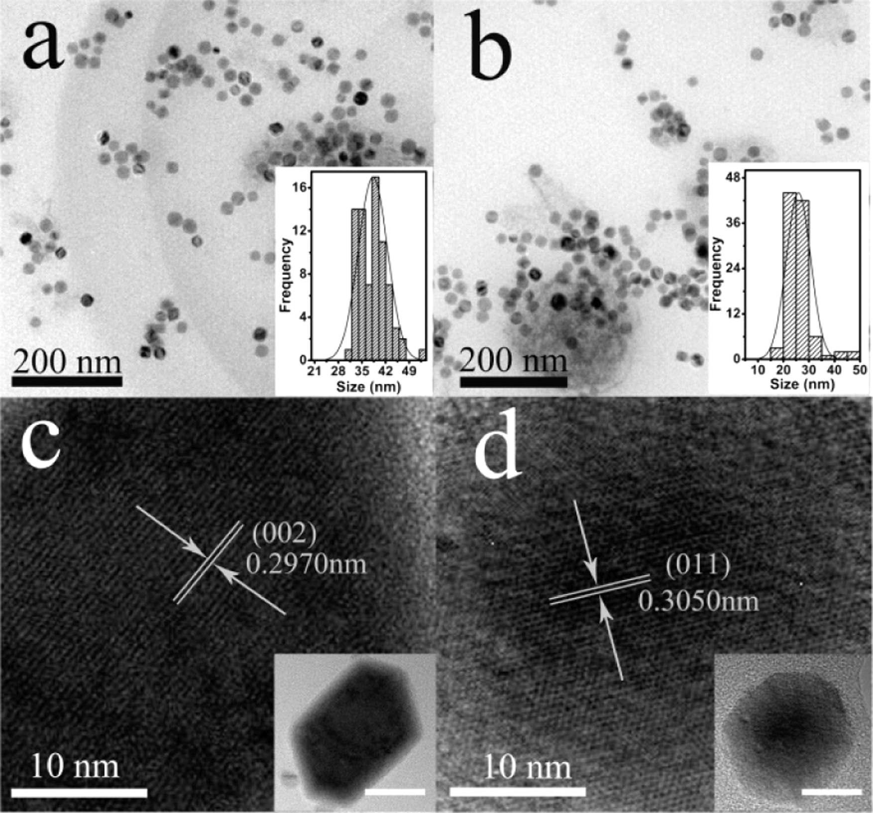 TEM image of (A) FeSe and (b) FeSe2 (insets: size distributions of NPs in the TEM images) and HRTEM images of the (c) FeSe and (d) FeSe2 NPs shown in the inset images. Scale bars in the insets are 15 nm.