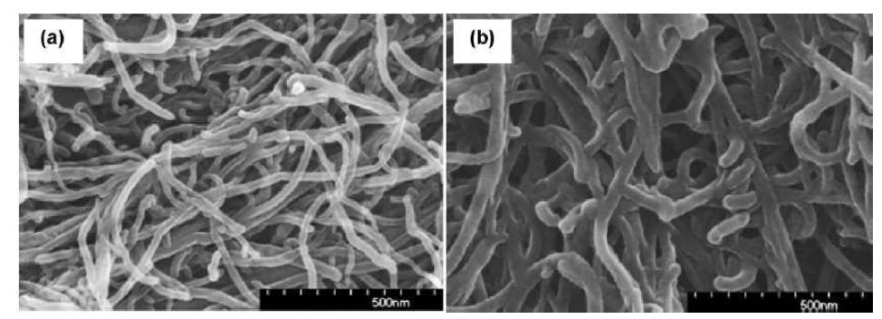 Morphology in the F3O7-MWNT samples before (a) and after (b) GOD mmobilization.