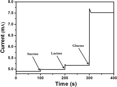 Sucrose, Lactose, Glucose 주입시 나타나는 Current 변화