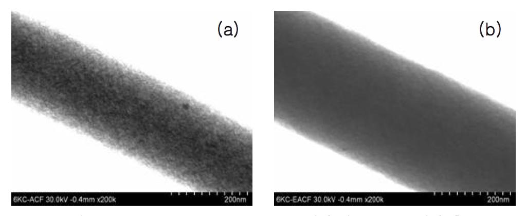 UHR-FE SEM images (a) 효소 담지 전, (b) 효소 담지 후.