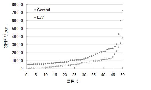 GFP 발현 상위 50개 세포주 비교