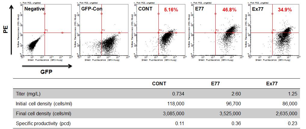 E77과 변형된 형태의 E77이 항체 생산량에 미치는 효과