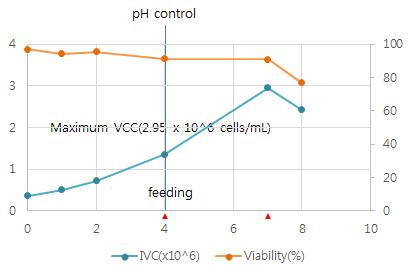 항체생산 인간세포주의 bioreactor 유가식 배양 테스트