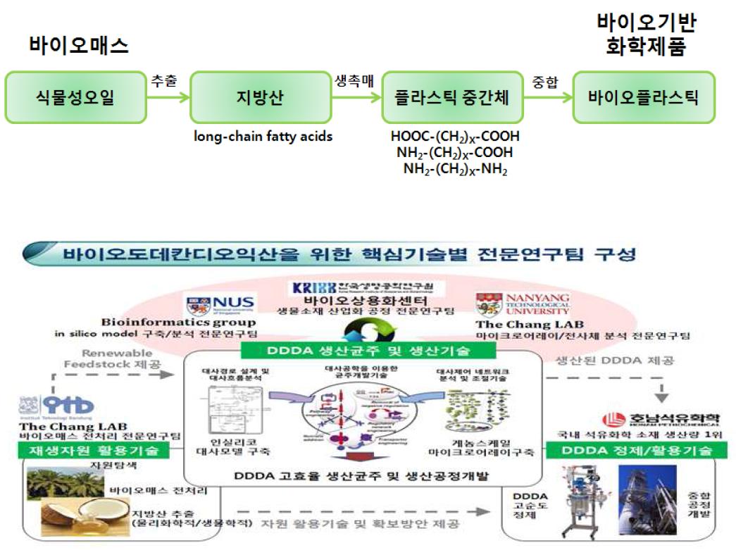 바이오도데칸디오익산 연구 개발을 위한 해외 기관과의 협력을 보여 주는 모식도