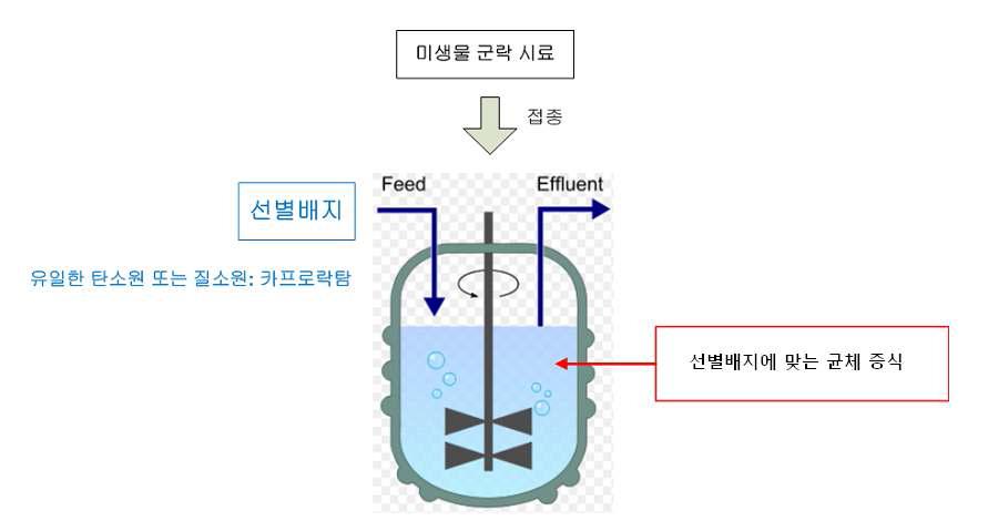 연속배양방식의 집적배양 원리