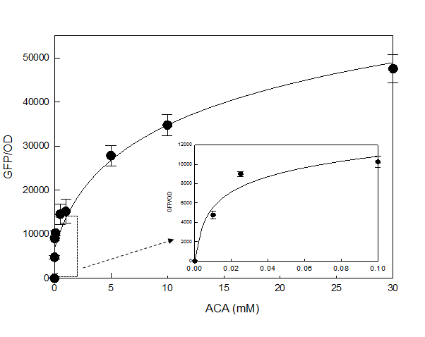 ACA-GESS 이용 LB 배지 중 ACA를 정량분석