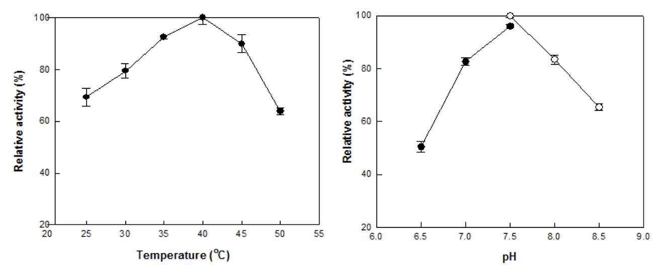 신규 카프로락탐 생합성 효소의 카프로락탐 전환을 위한 온도, pH 특성 조사