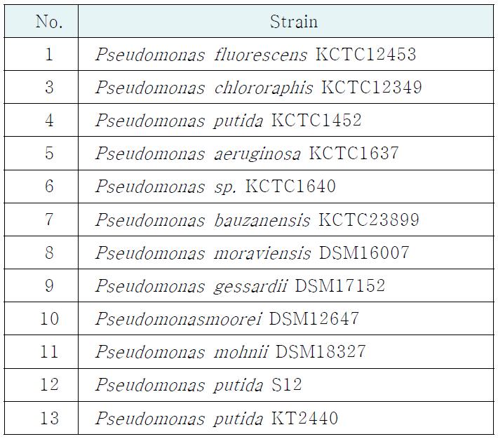 본 연구에 사용된 Pseudomonas 균주들