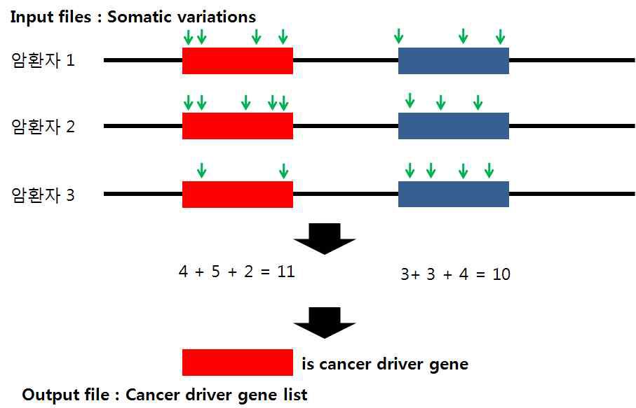 빈도 기반의 암 유발 유전자 예측 알고리즘 개념도