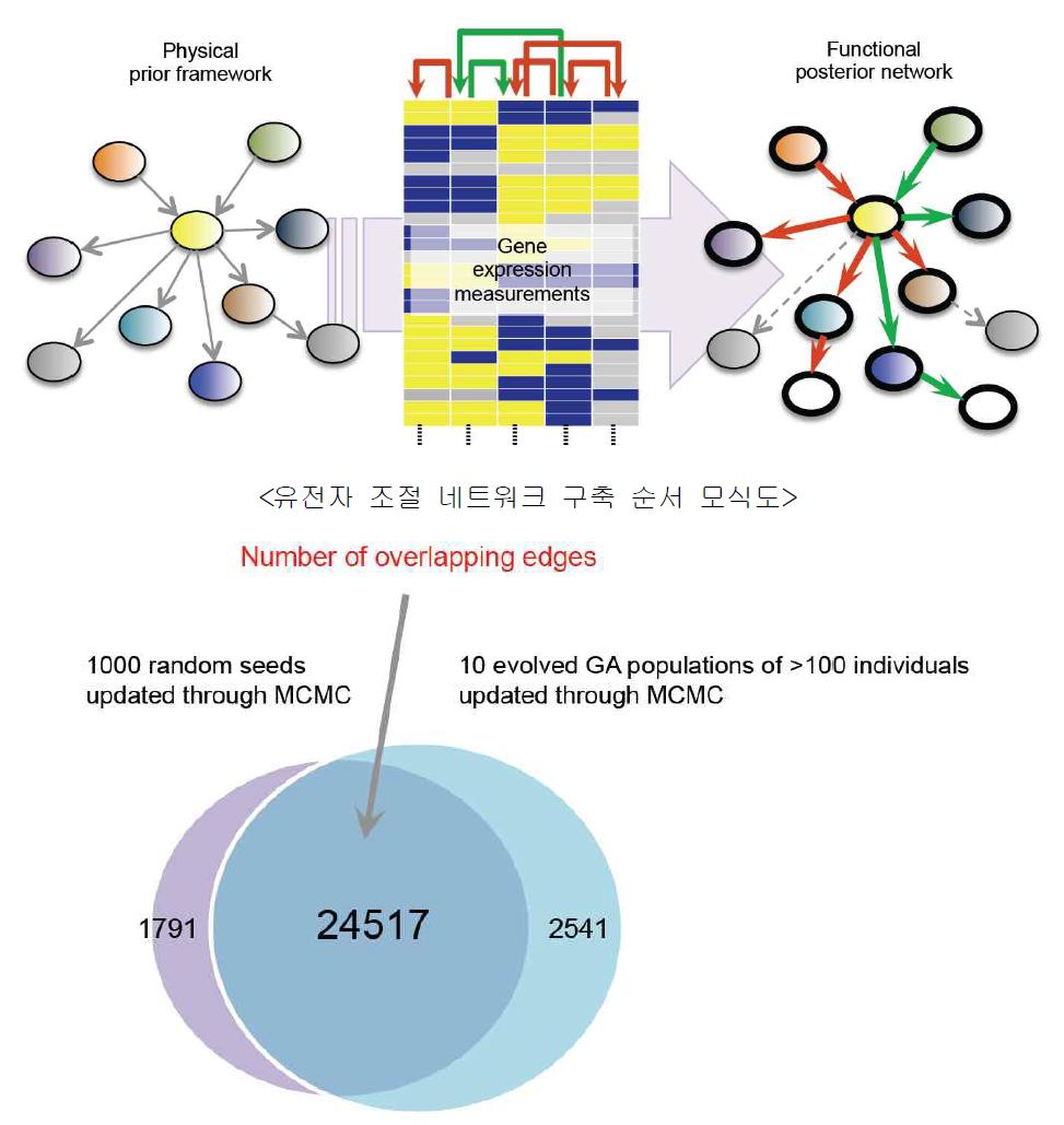 MCMC 1,000번과 유전자 알고리즘 10번의 결과 네트워크 비교