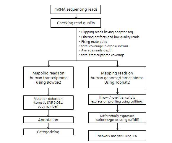 mRNA 염기서열 정보의 분석 파이프라인