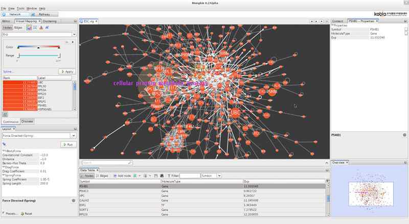 네트워크 가시화 및 분석 화면