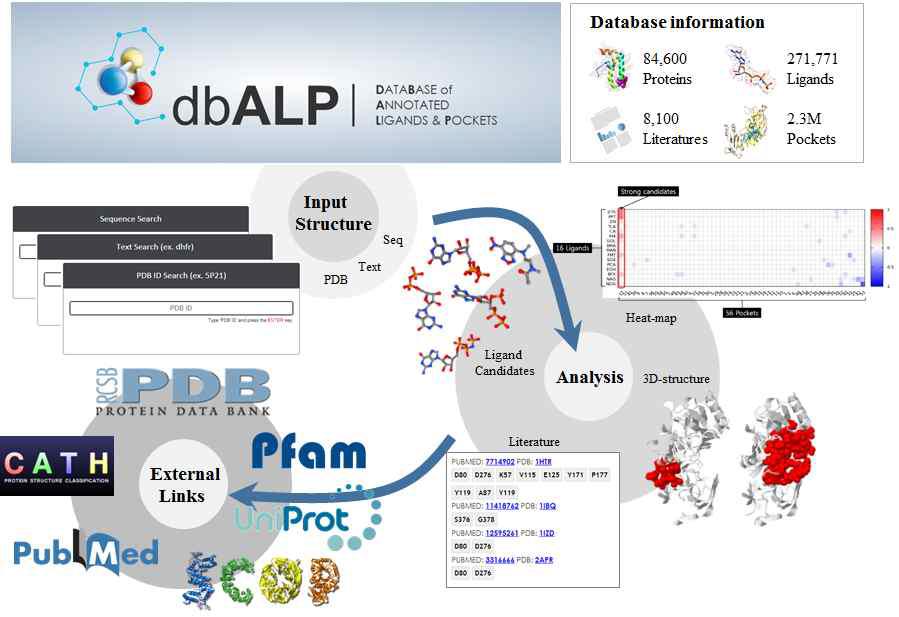Database of Annotated Ligands and Pockets