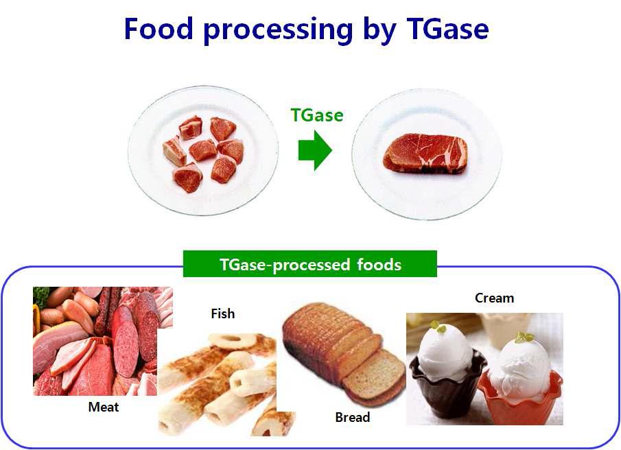 TGase의 식품분야 응용예