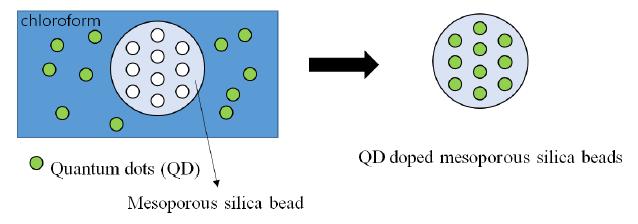 양자점이 추가된 mesoporous silica beads 제작 방법
