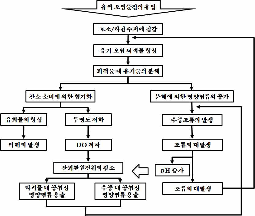 퇴적물 형성 과정 및 수체 내에서의 일련의 변화 과정