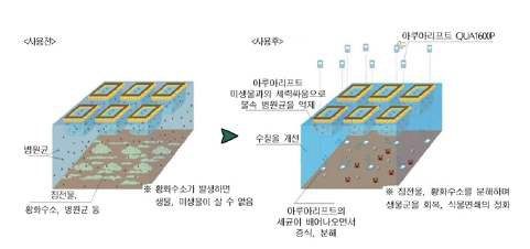 아쿠아리프트 조류제거기술 모식도