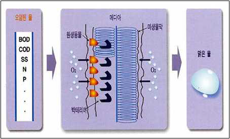 미생물 메디아를 이용한 오염물질 제거 모식도