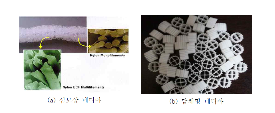 미생물 부착능력 평가를 위한 메디아