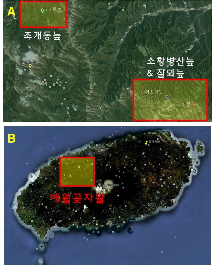 조사지점 위치. A: 오대산 습지, B: 제주 애월곶자왈