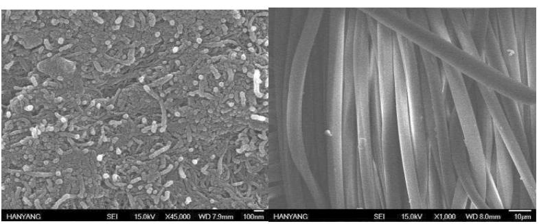 엔자임을 통해 분산성을 확보한 MWCNT 코팅직물의 SEM 사진