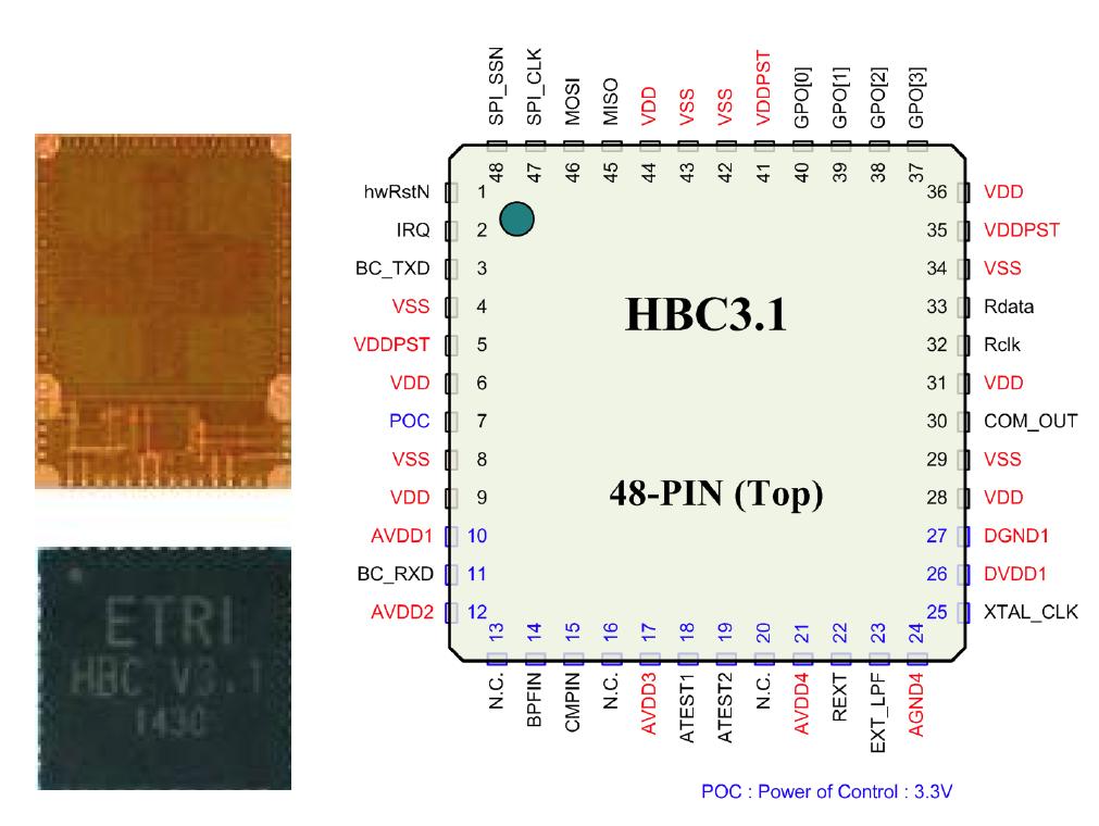 제작된 HBC3.1 Die / Package Photo(좌) Pin Diagram(우)