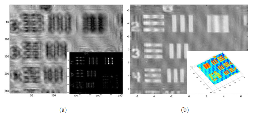 FFT method 를 통한 (a) 복소홀로그램 (b) 복원이미지