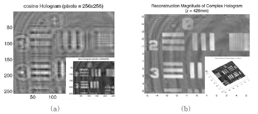 (a)복소 홀로그램 및 (b)초점거리에서 복원 이미지