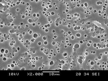 PDLC cell의 고분자 매트릭스 표면의 SEM 사진.