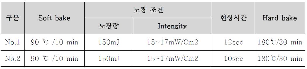 노광 및 현상 조건