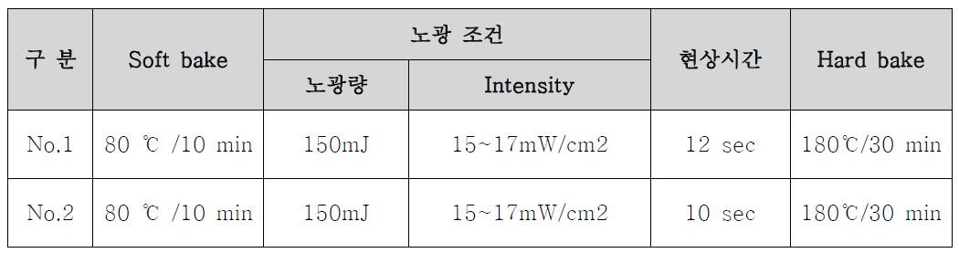 노광 및 현상 조건