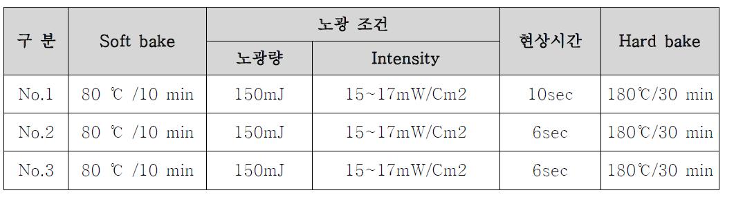 노광 및 현상 조건