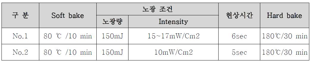 노광 및 현상 조건