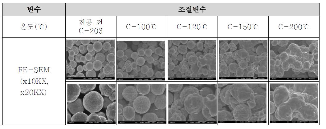 진공 건조 온도 별 FE-SEM 이미지