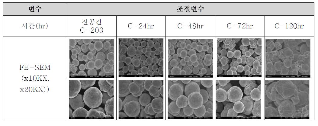 진공 건조 시간 별 FE-SEM 이미지