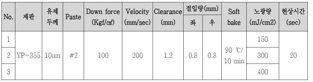 페이스트 #2의 패터닝 공정 조건