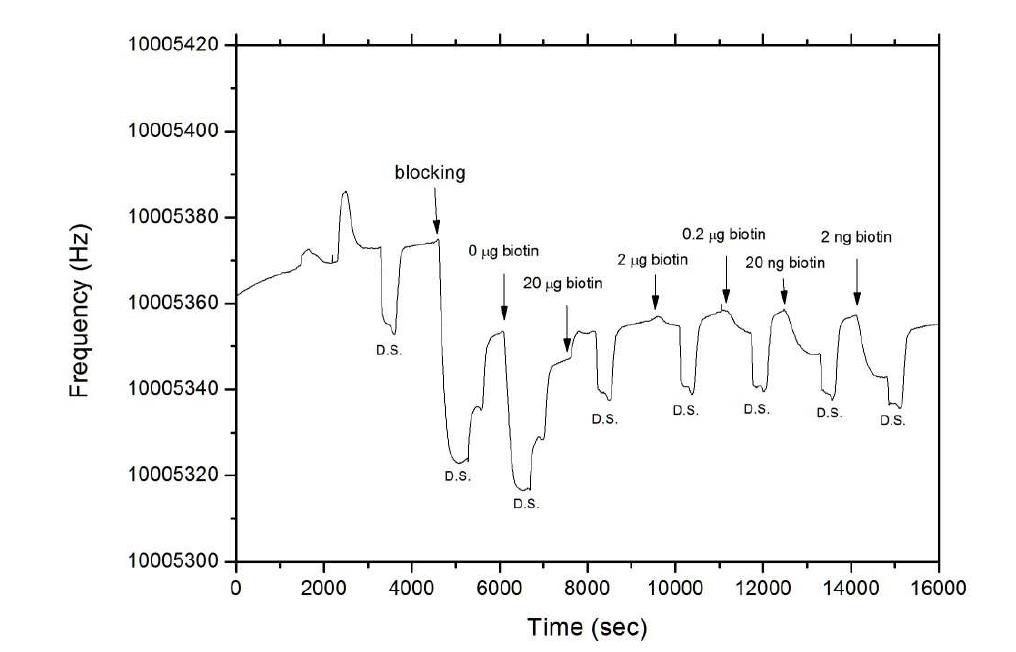 biotin을 고정시킨 QCM 센서 칩으로 경쟁방법에 의한 biotin 검출 실험