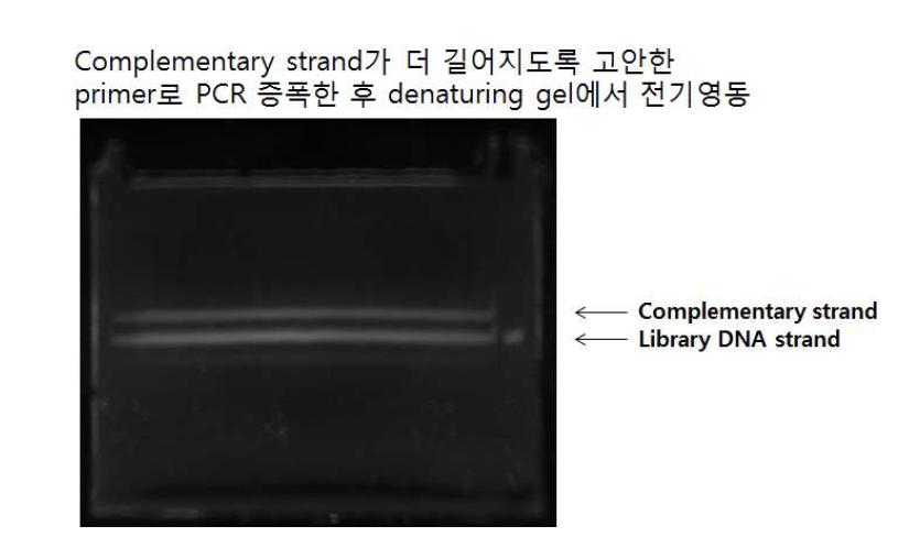 sandwiching aptamer 검색 결과