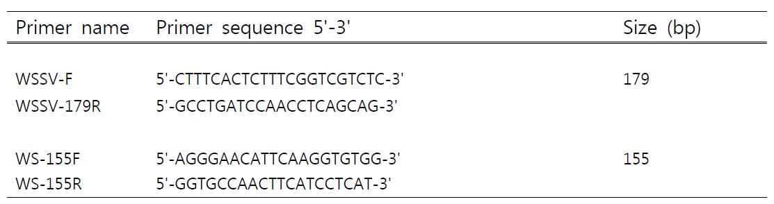 Real-Time PCR primer set for WSSV detection.