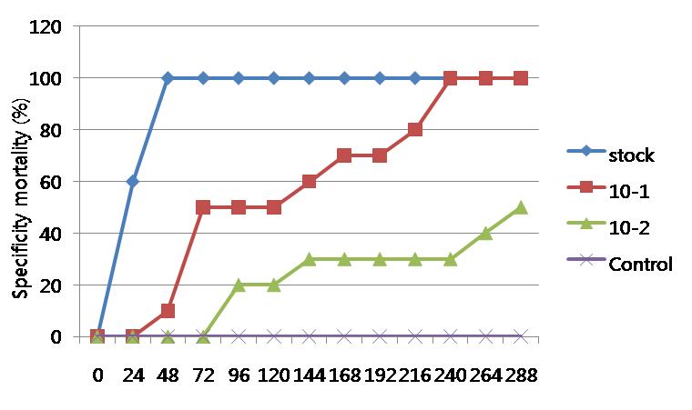 Specificity mortality of M. nipponense after injection of stock and diluted WSSV inoculum.