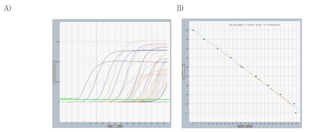 Flu graph (A) and standard curve (B) of Real-Time PCR of standard DNA (blue lines and dots) and dead M. nipponense after injection with different concentration of WSSV (red lines and dots).