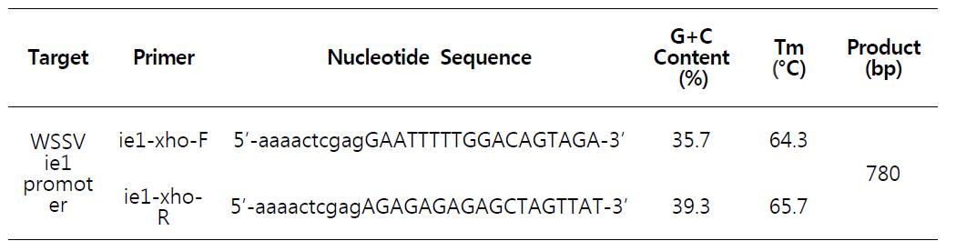 Primers designed for WSSV ie1 promoter