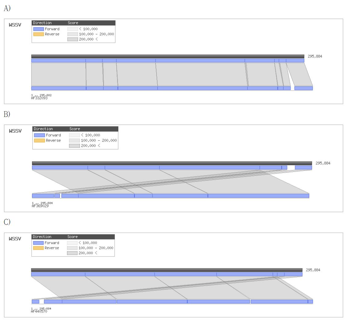 Pairwise sequence comparision of WSSV-KR and other related strains.