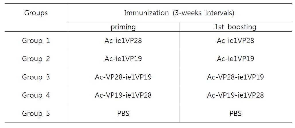 Immunization schedules.