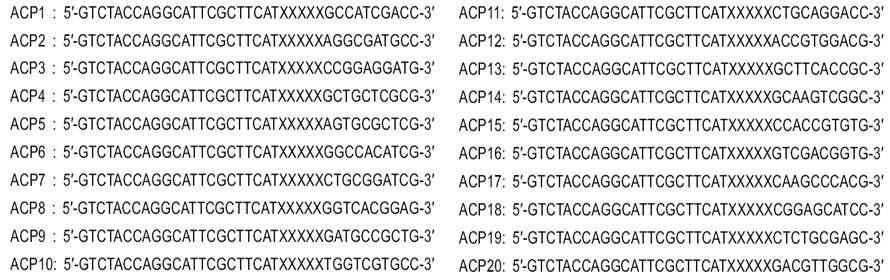 Arbitrary ACPs for Gene fishing PCR