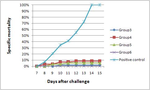 Cumulative mortality of Macrobrachium nipponense after treatment with selected vaccines followed by WSSV challenge.