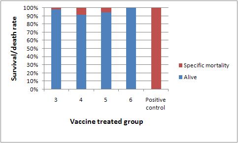 Comparison of the protective effect of selected vaccines against WSSV challenge.