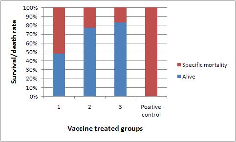 Effect of number of vaccination and the gap between the last vaccination and WSSV challenge on protective effect of Ac-VP28-iel-VP19 + falgellin vaccine.