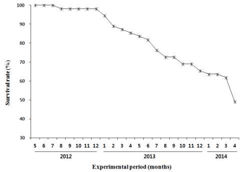 실험기간동안 육상수조에서의 생존율 변화