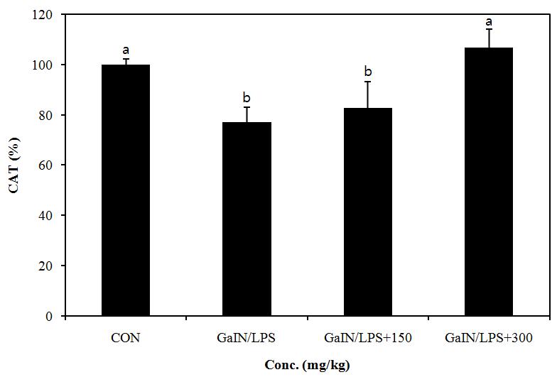 Effect of PYGP on the CAT activity in rat liver.